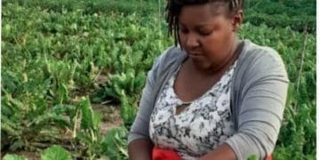 Dorothy Mapasure in her garden patch has urged government to release more land. Picture : Supplied