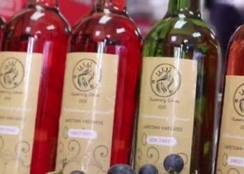 Queenery Wines that are being produced by Sthandiwe Zikode