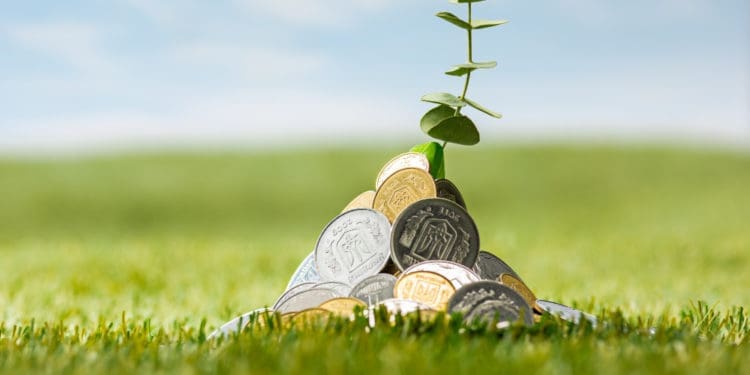 NEF has entered into a partnership with the Sun City Resort to set up fund for small businesses