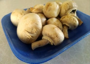 Mushroom farming