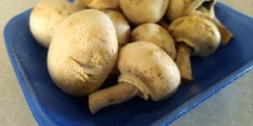 Mushroom farming