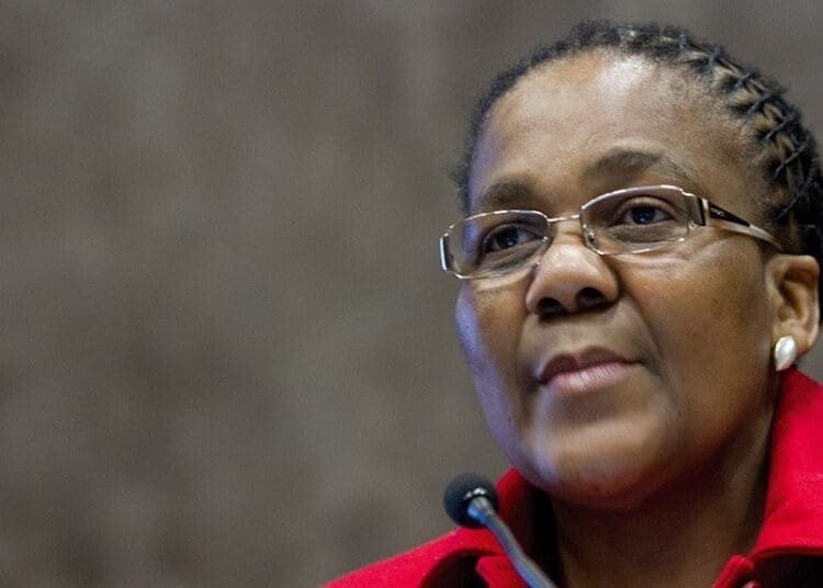 Small Business Development Deputy Minister Dipuo Peters