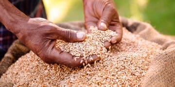 Newco has set funds aside for SMMEs in the brewing industry