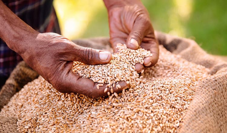 Newco has set funds aside for SMMEs in the brewing industry