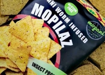 Phuti Kabasa of Mopani  worms