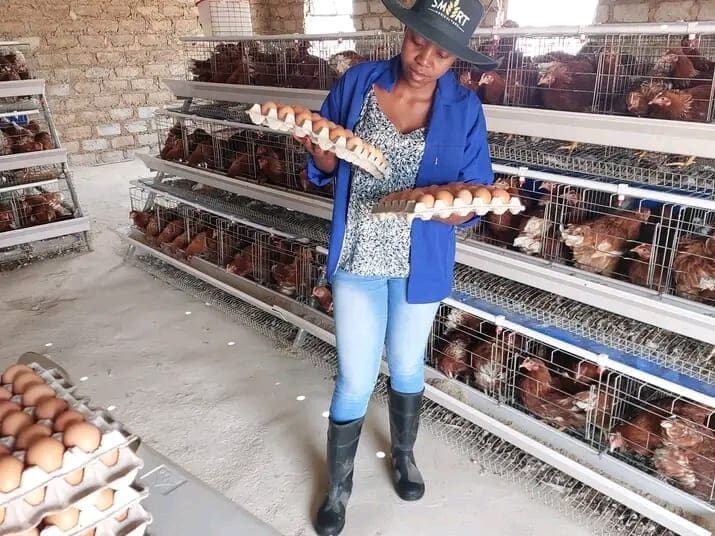 Egg farmer Lebogang Mashigo