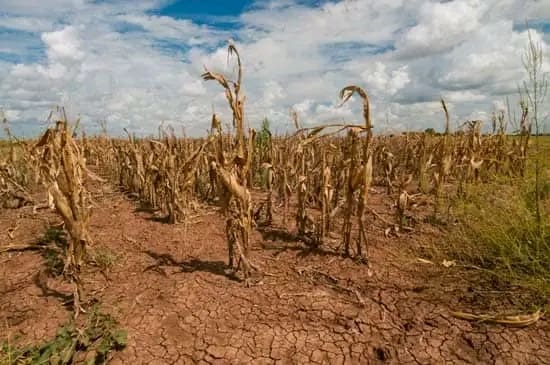 Farming with no water a big crisis