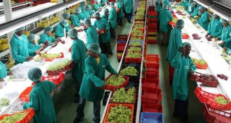 Espinaca Innovations which started a health revolution in Cape Town townships