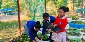 Qwa Qwa schoolgirls from Sentinel Primary School use robotics to grow the future of farming.  Photo: Supplied