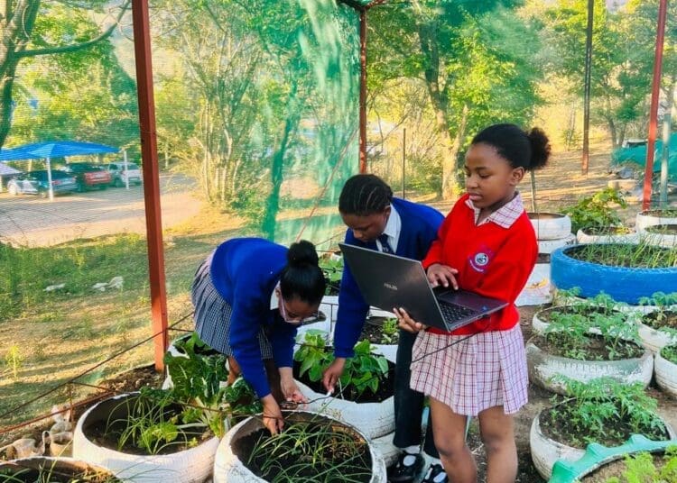 Qwa Qwa schoolgirls from Sentinel Primary School use robotics to grow the future of farming.  Photo: Supplied