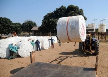 Farmers are hoping to meet strict tax and admin compliance regulations in the new year.