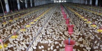Small-scale farmers are set to benefit from a new innovative crowdfunding tool.