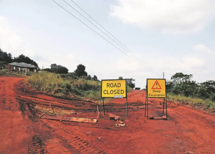 SMEs in Limpopo look forward to rebuilding and growth as the province prioritizes infrastructure and flood recovery in its R95.8bn budget. Photo: Lucas Ledwaba/Mukurukuru Media