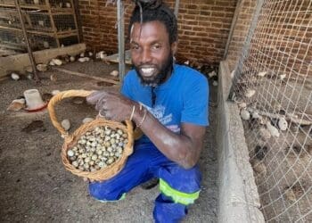 Lekgomo Malatjie, founder and CEO of My Big Little Farm