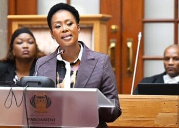Government says SMEs remain central to South Africa’s economic growth strategy, Entrepreneurs say long funding waiting periods continue placing pressure on small businesses.