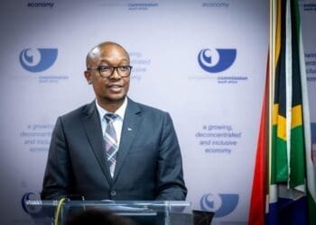Minister Parks Tau said market concentration continued to limit opportunities for small businesses in South Africa. Photo: dtic