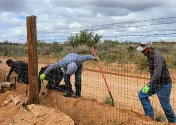 Communities around Hazyview and Mpakeni want clarity on whether the fencing project will empower local contractors or be dominated by outside firms