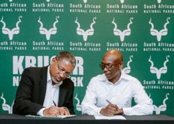 SANParks SMME funding programme surpasses R50 million in support for small businesses.