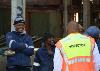 Government labour inspectors intensify workplace enforcement as businesses face stricter compliance checks amid illegal immigration tensions.
Photo: Department of Employment and Labour