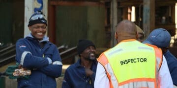Government labour inspectors intensify workplace enforcement as businesses face stricter compliance checks amid illegal immigration tensions.
Photo: Department of Employment and Labour
