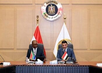 Minister Parks Tau signed a Memorandum of Understanding with the African Export-Import Bank (Afreximbank) in Egypt, unlocking new trade opportunities for South African businesses.
Photo: Supplied