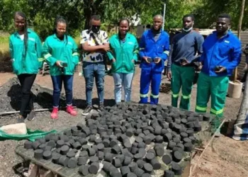 Workers at Dziphathu Green Tech Bio Briquette Project in Bende outside Pafuri Gate process organic waste into eco-briquettes used for cooking and heating.