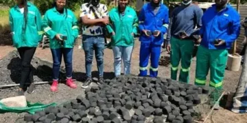 Workers at Dziphathu Green Tech Bio Briquette Project in Bende outside Pafuri Gate process organic waste into eco-briquettes used for cooking and heating.