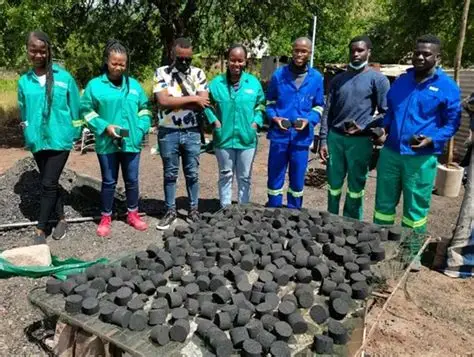 Workers at Dziphathu Green Tech Bio Briquette Project in Bende outside Pafuri Gate process organic waste into eco-briquettes used for cooking and heating.