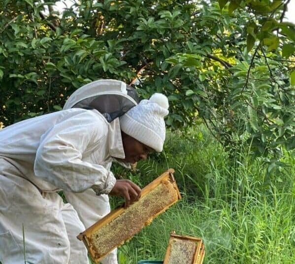 Phodzo Tshikosi's passion for beekeeping has grown into a thriving honey business in Tshavhalovhedzi village, Nzhelele, Limpopo.
