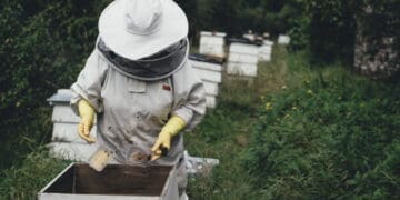 Investing in the next generation of beekeepers is about more than producing honey. Photo, SABIO