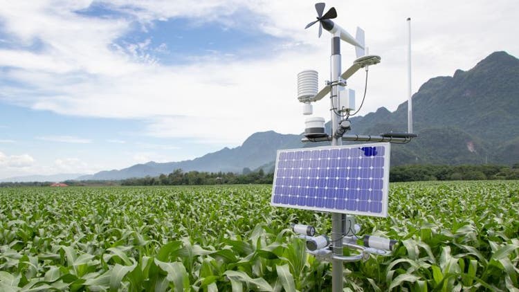 Standard Bank Group says it mobilised R3.45 billion for climate-smart agriculture over the past year. Photo. World Bank
