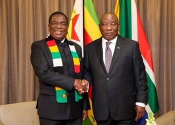 President Cyril Ramaphosa and Zimbabwean President Emmerson Mnangagwa have called for stronger business ties as bilateral trade reaches R81 billion. Photo: GCIS