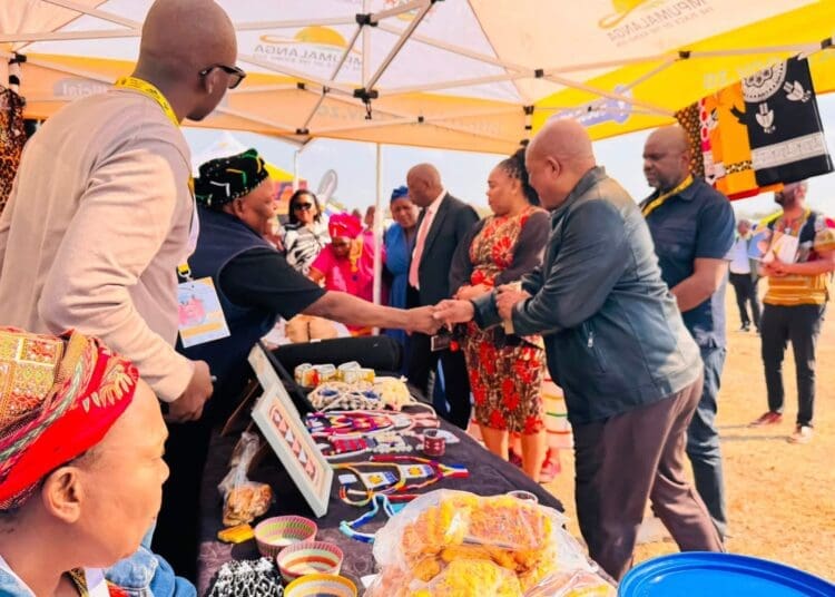 Nkomazi traders and SMMEs received assistance with government procurement processes, including CSD registration, during the Premier’s Imbizo.