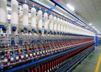 Decortication machinery and specialized spinning mills are critical missing links required to convert raw harvested hemp stalks into wearable yarn and textiles for local manufacturers.
