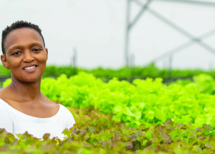 Hydroponic farmer Zandile Khumalo