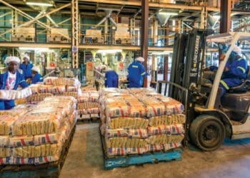 The last-minute rescue package for Tongaat Hulett brings profound relief to over 17,000 independent small-scale growers and local small businesses dependent on the regional agro-processing economy.