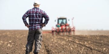 Emerging agricultural producers face severe financial squeeze as major corporate retailers control over 70 percent of South Africa's formal grocery market, leaving small food businesses to contend with high compliance hurdles and rigid retail margins.
