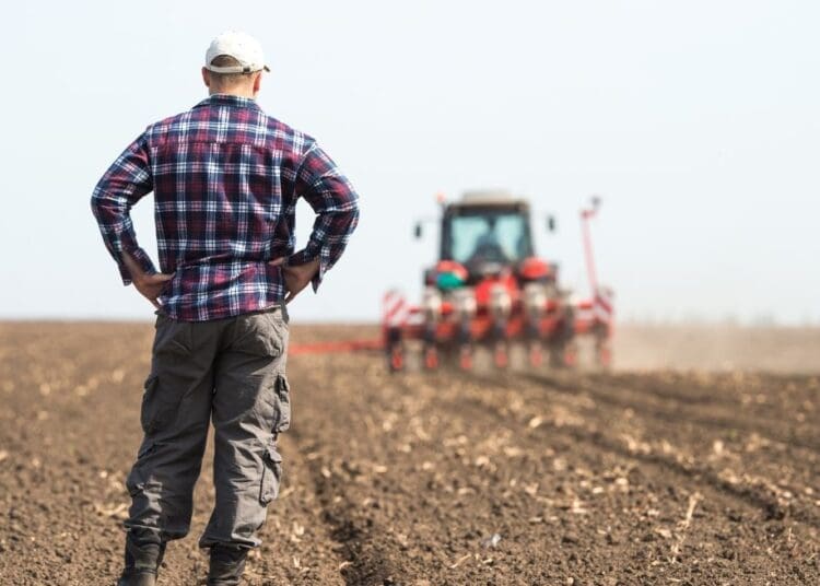 Emerging agricultural producers face severe financial squeeze as major corporate retailers control over 70 percent of South Africa's formal grocery market, leaving small food businesses to contend with high compliance hurdles and rigid retail margins.